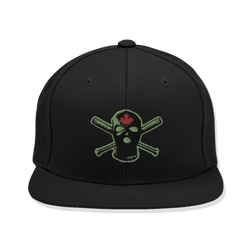 Rebirth LV Snapback